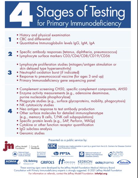 File:4 stages of testing for primary immunodeficiency.jpg