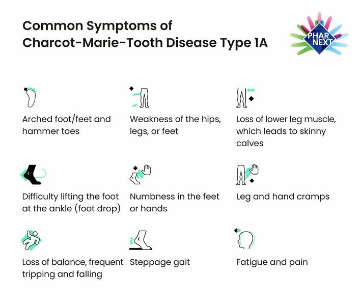 File:CMT1a Symptoms.jpg