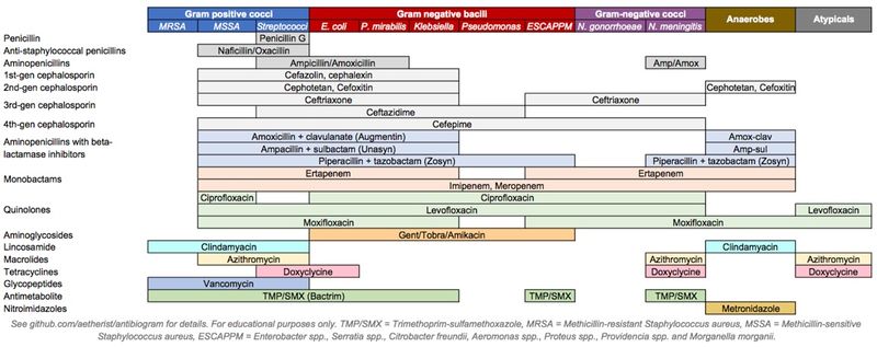 File:Antibiotics coverage diagram.jpg