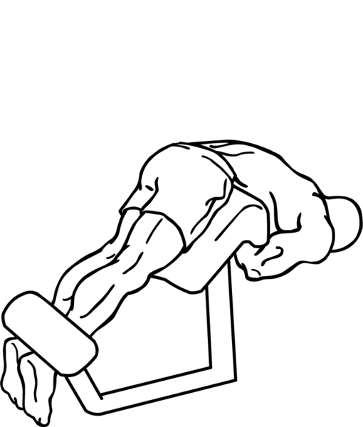 File:Extension Roman chair (hyperextension) animation.gif