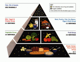 Food Pyramid.gif