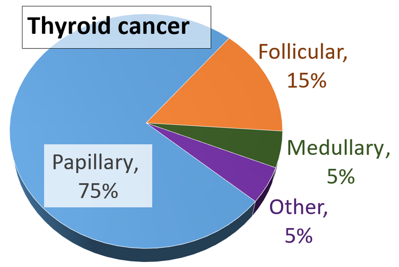 File:Thyroid cancer types by incidence.png