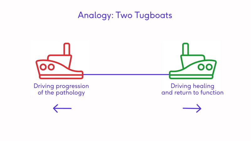 File:Tugboats Analogy Image.jpg