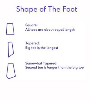 Foot Shape.jpg
