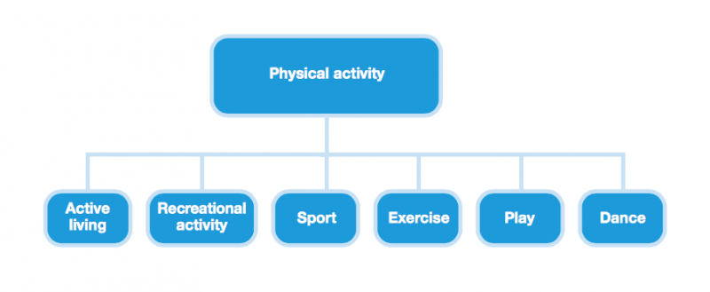 File:Types of Physical Activity.png