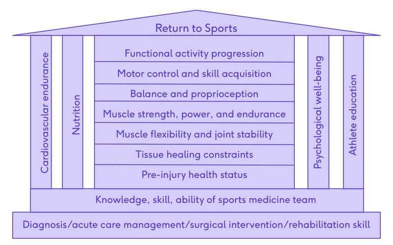File:Sports rehabilitation pyramid.jpg