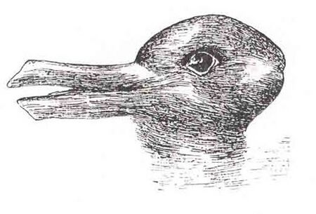 Open Source Imgae - Duck Rabbit Illusion.jpg