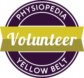 648px-Yellow-belt.png