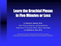 Learn-Brachial-Plexus.png