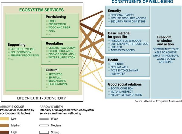 EcosystemservicesChart2.jpg