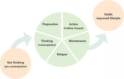 Transtheoretical Model/ Stages of Change