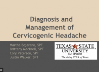 Cervicogenic headache2 ppt.PNG
