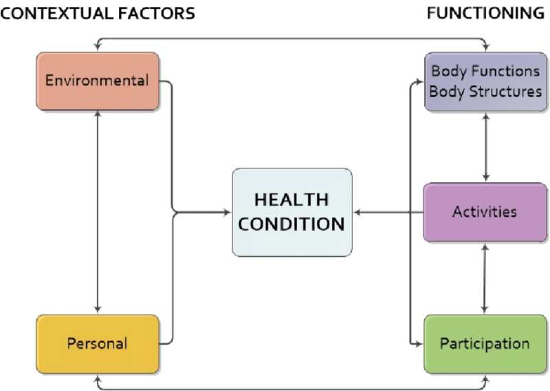 File:The-ICF-biopsychosocial-model-of-functioning-and-disability-Note-Adapted-from.png