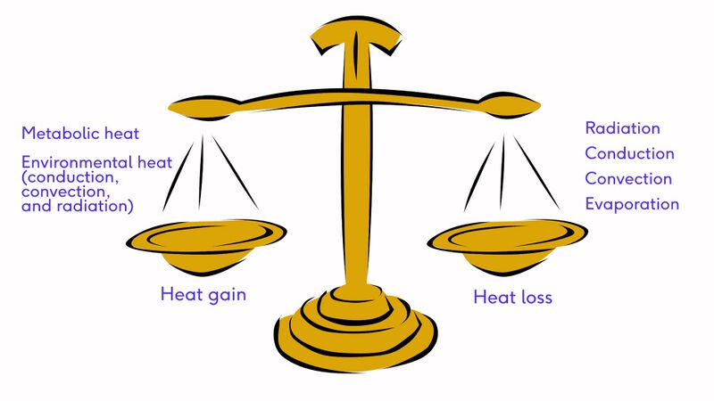 File:Thermoregulation Scale.jpg