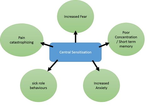 Figure 4:Systemic effects of central sensitisation (McAllister, 2012)