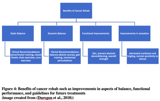 Figure 4: Benefits of cancer rehab such as improvements in aspects of balance, functional performance, and guidelines for future treatments (image created using information from Duregon et al 2018 [1])