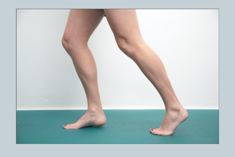 File:Tibialis posterior training.png