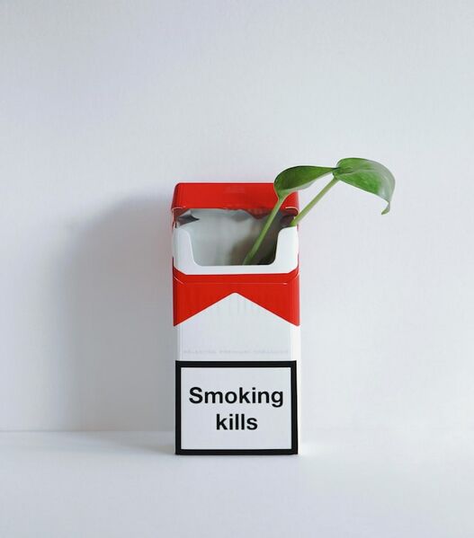 File:Quit smoking.jpeg