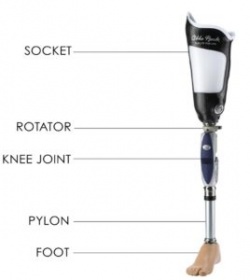 TF prosthetic components