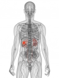 Kidney-cancer-imaging.jpg