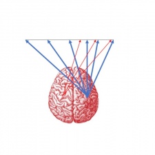 Differential roles of right and left hemispheres in attention