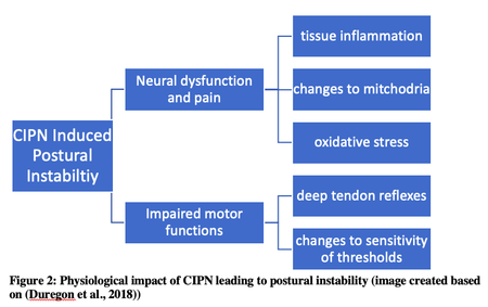 Figure 2: Physiological impact of CIPN leading to postural instability (image created based on Duregon et al 2018 [1])
