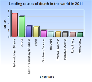 Causes of death worldwide 2011.png