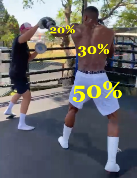 File:Kinetic chain boxer example.png
