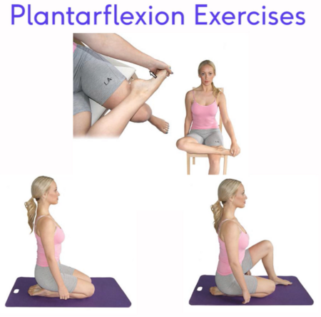 Plantar flexion stretches.png