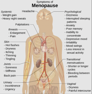 Menopause: Symptoms, Diagnosis, and Treatment