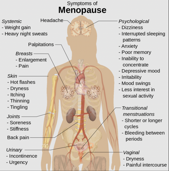 File:Menopause S&S.png