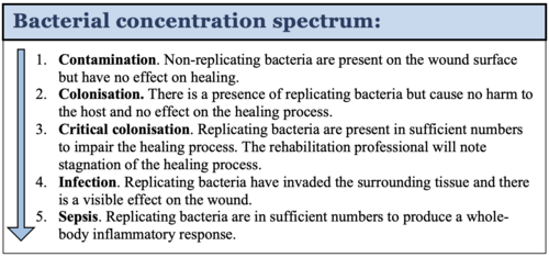 Bacterial concentrations.png