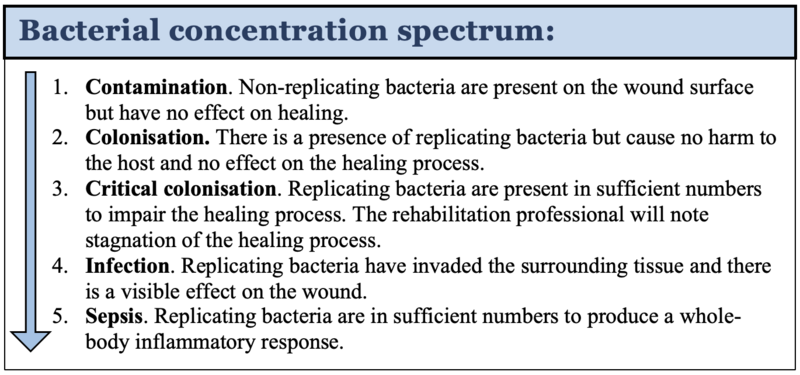 File:Bacterial concentrations.png