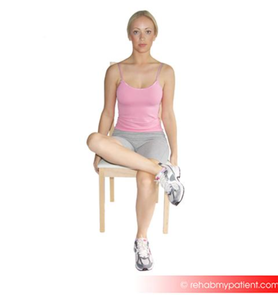 File:Hip external rotation seated. Rehab my patient.png