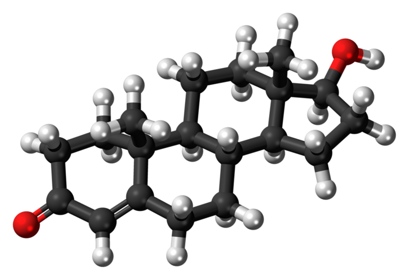File:Testosterone molecule ball.png