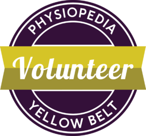 1295px-Yellow-belt.png