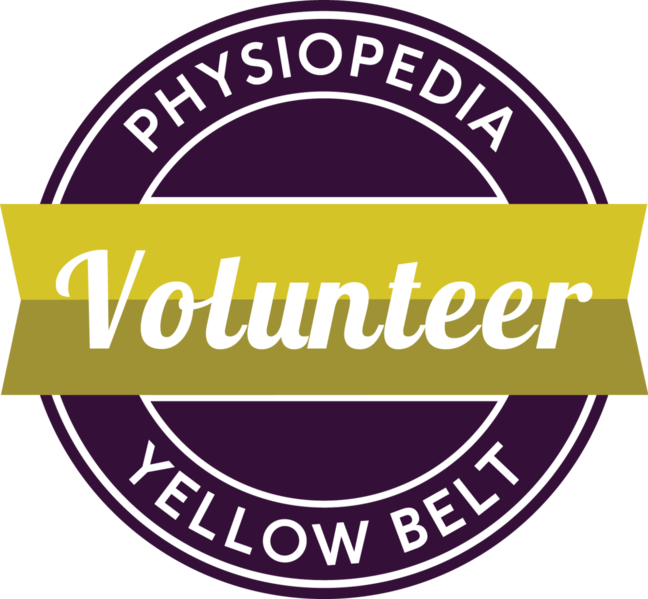 File:1295px-Yellow-belt.png
