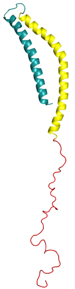 File:Alpha-synuclein.png