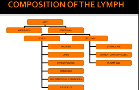 Lymph composition.png