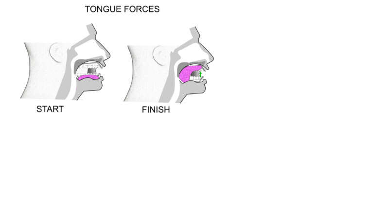 File:Tongue Force.png