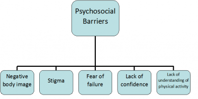 Pyschosocial barriers.png