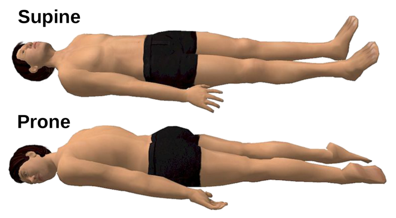 File:1920px-Supine and prone diagrams-en.svg.png