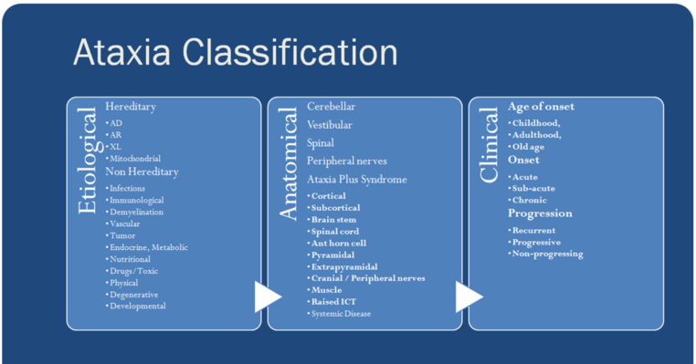 Ataxia Classification.png