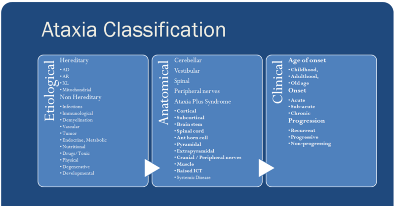 File:Ataxia Classification.png