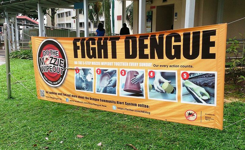 File:Dengue fever banner (fight dengue).jpeg