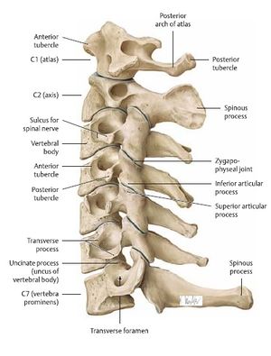 cervical instability)