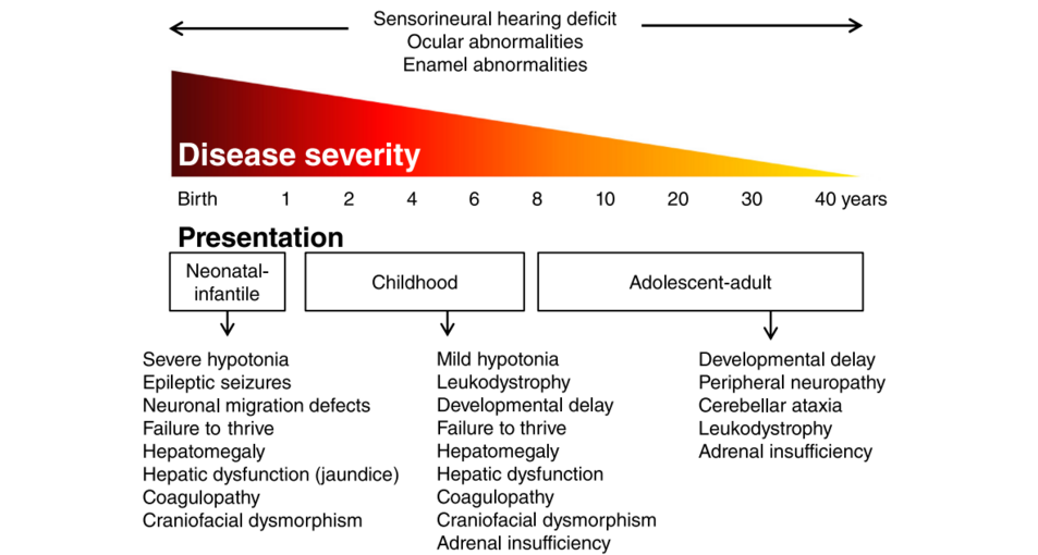 Overview of zellweger spectrum disorders