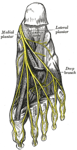 pain in medial plantar nerve