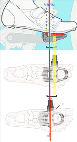 Position-of-foot-and-shoe-relative-to-pedal-and-cleat-interface-Used-with-permission-of.png