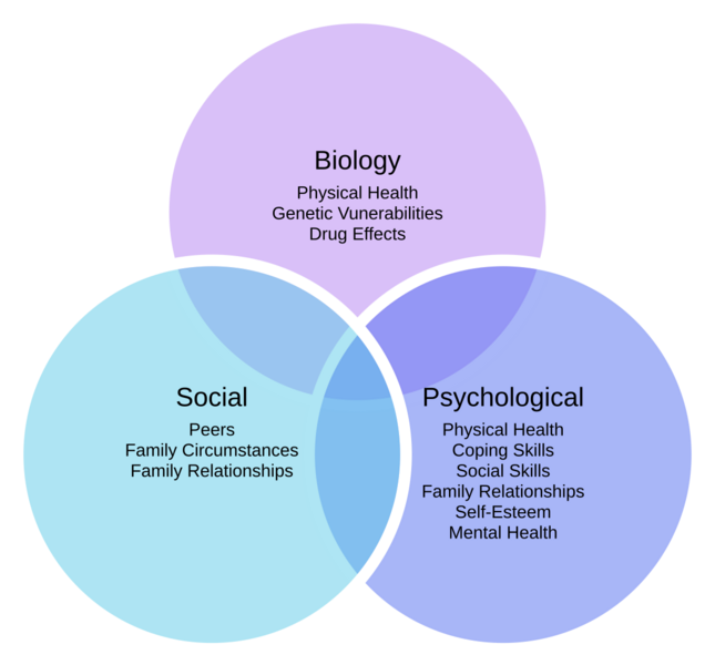 File:Biopsychosocial Model of Health.png